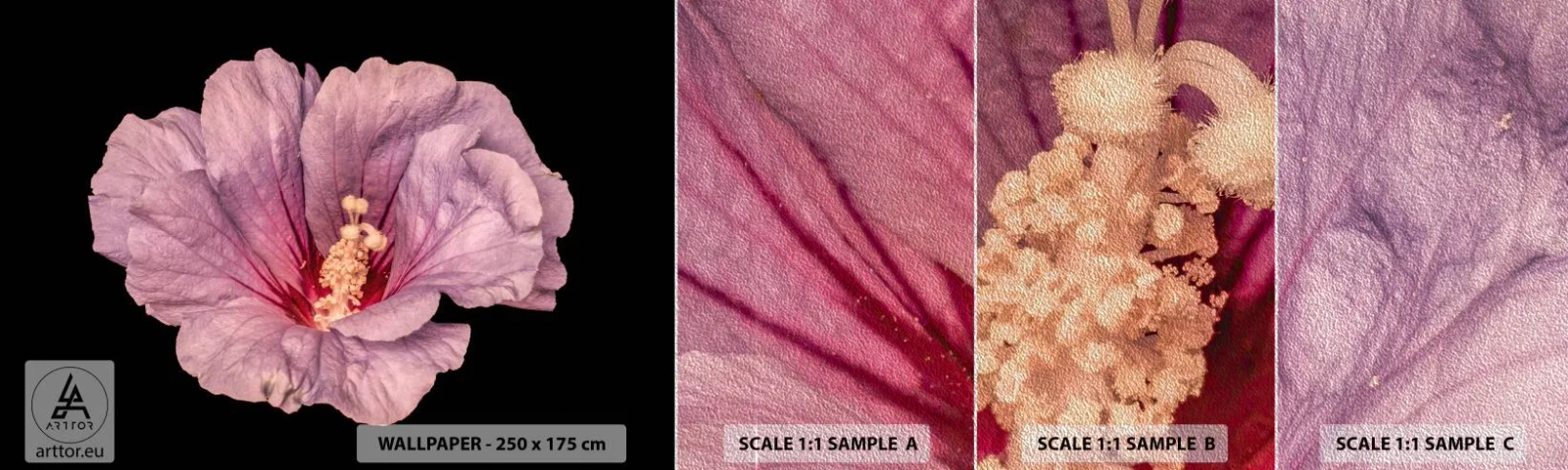 Campione di Fotomurale Premium Sand - Dritto al cuore - Fiore, Pezzo, Grafica - 100x30 cm