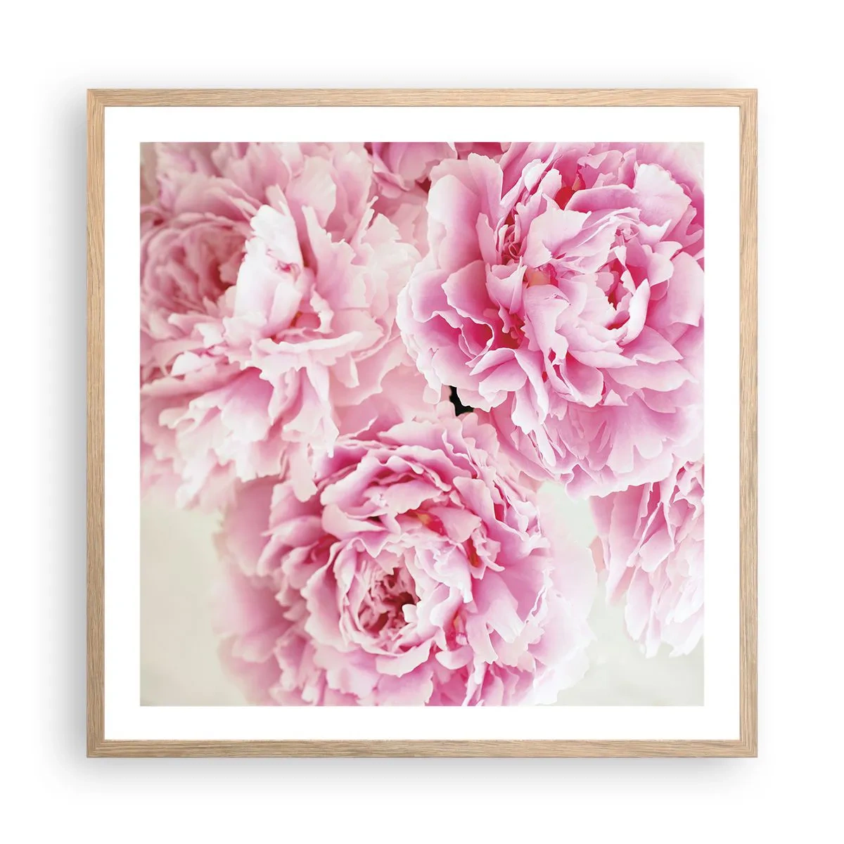 Poster in cornice rovere chiaro - Nel fasto rosa - 60x60 cm