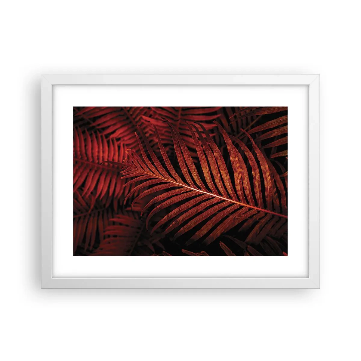 Poster in cornice bianca - Il calore della vita - 40x30 cm