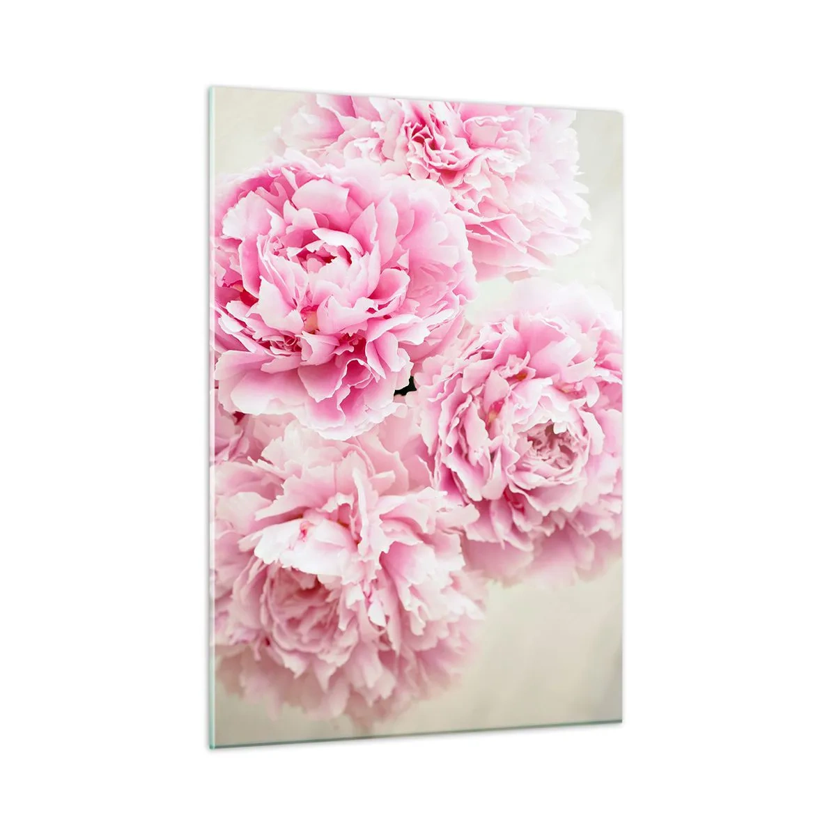 Quadro su vetro - Un bouquet di peonie rosa intenso su uno sfondo chiaro - 50x70cm - Nel fasto rosa - Decorazione murale moderna per soggiorno e camera da letto ARTTOR