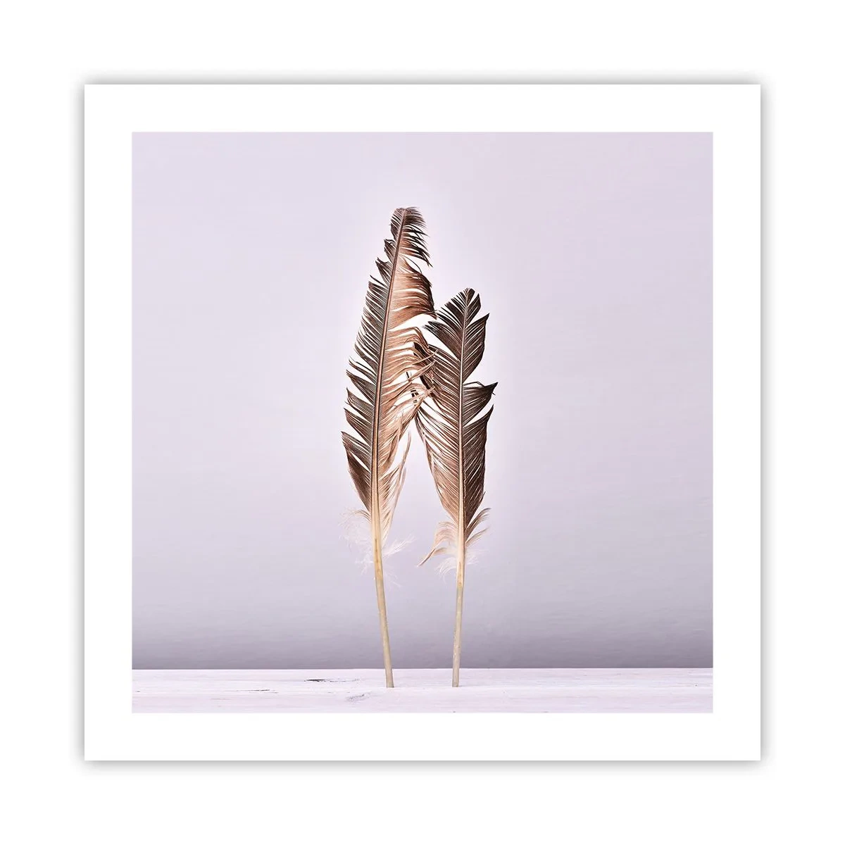 Poster - Contro il nulla - 50x50 cm