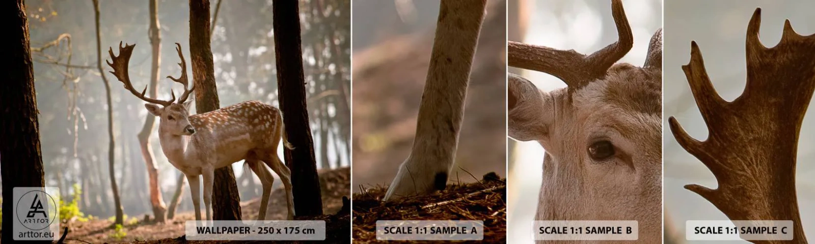 Campione di Fotomurale Adesivo Deluxe Sticker - La luce della giovinezza - Animali, Cervo, foresta - 100x30 cm