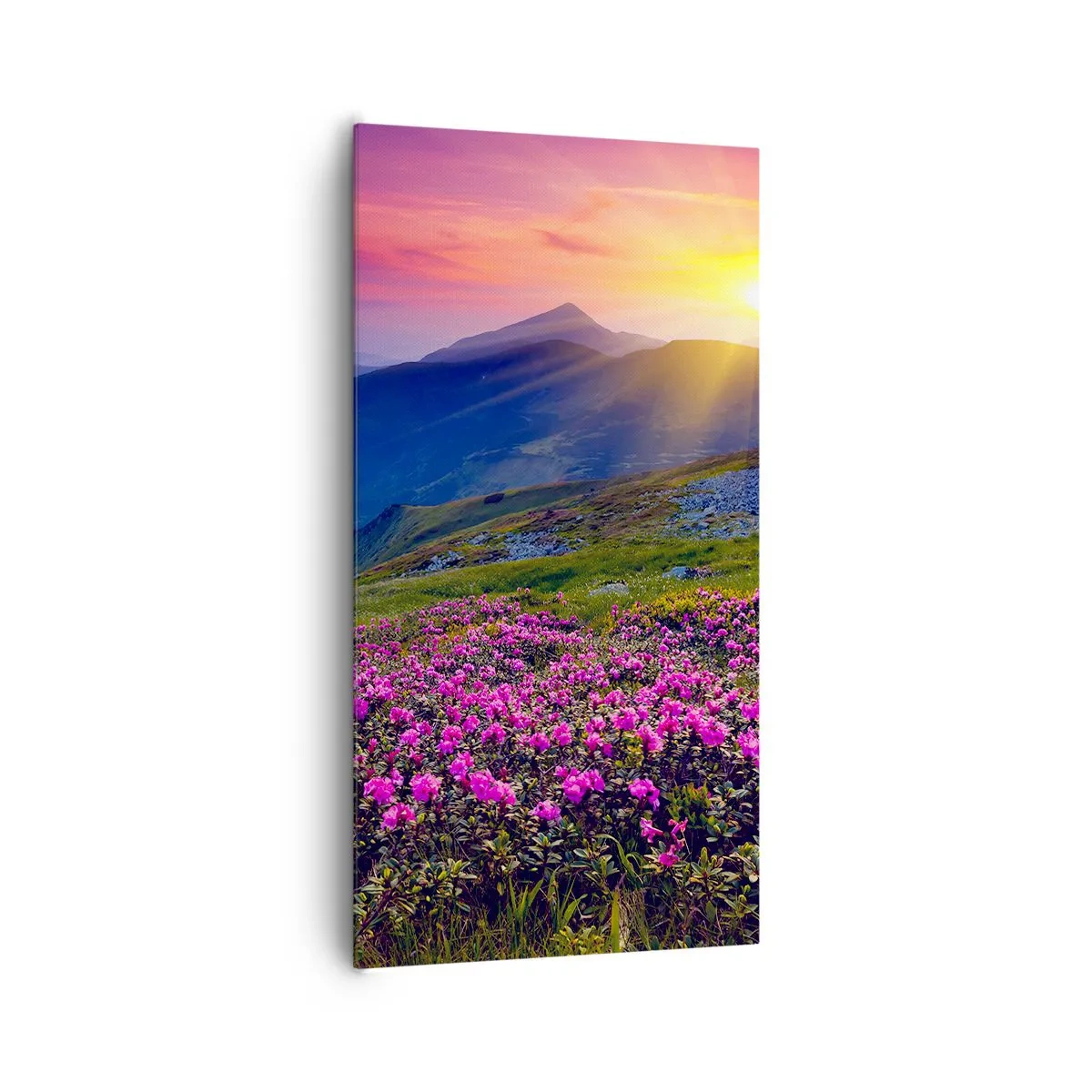 Quadro su tela - Stampe su Tela - Odore di mugo e profumo di erbe - 65x120 cm