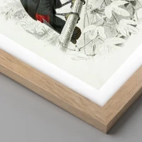 Rovere chiaro