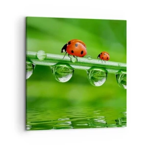 Quadro su tela - Stampe su Tela - In cammino per tutta l'estate - 50x50 cm