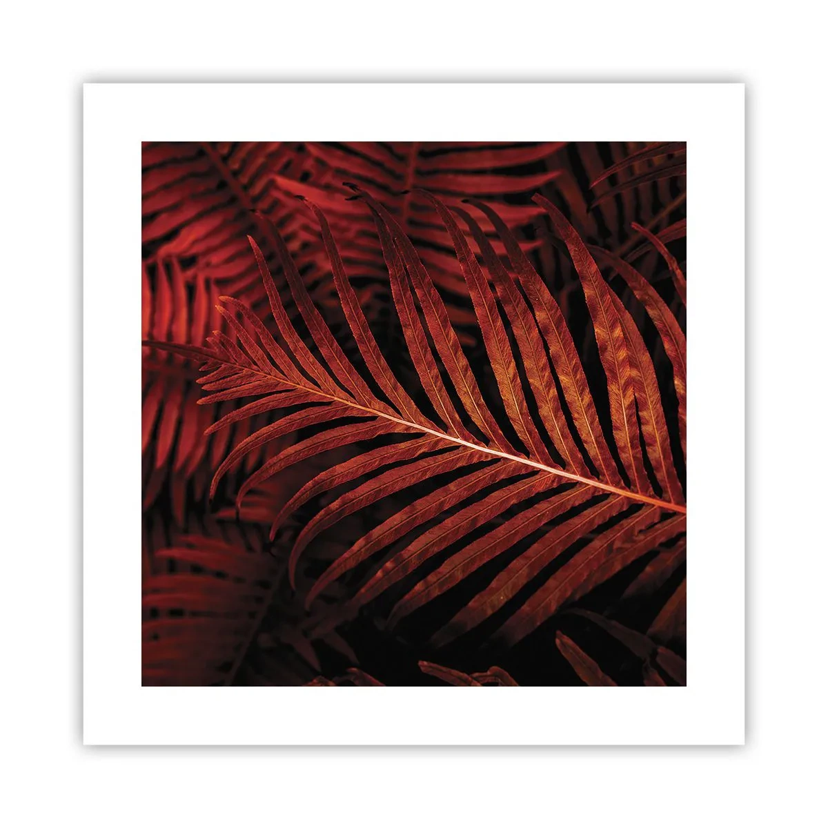 Poster - Il calore della vita - 40x40 cm