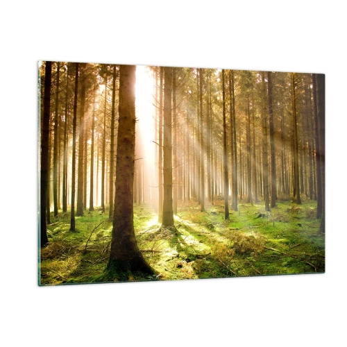 Quadro su vetro - Raggi di sole che penetrano attraverso gli alberi nella foresta - 120x80cm - Adesso appaiono gli elfi - Decorazione murale moderna per soggiorno e camera da letto ARTTOR