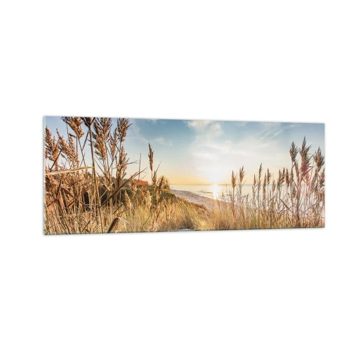Quadro su vetro - Una spiaggia pittoresca con erba e il sole al tramonto - 140x50cm - Spiaggia del nord - Decorazione murale moderna per soggiorno e camera da letto ARTTOR