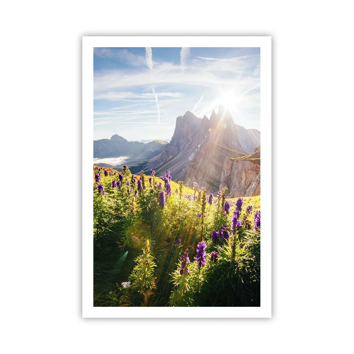 Poster - La vita segreta delle erbe - 61x91 cm