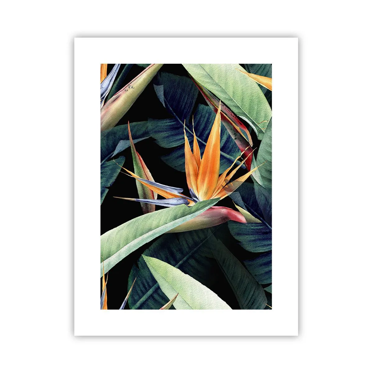 Poster - I fiori fiammeggianti dei tropici - 30x40 cm