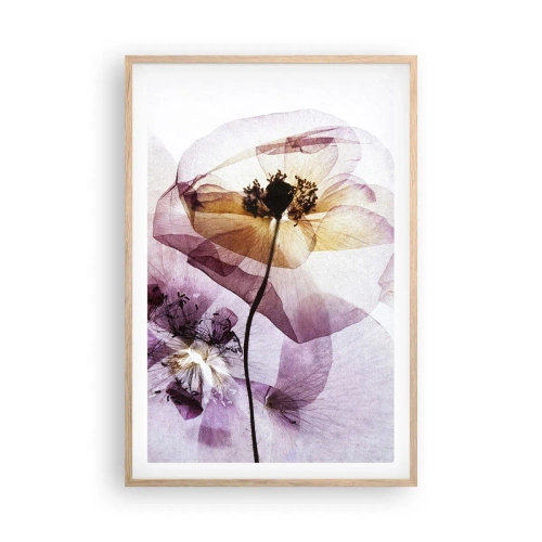 Poster in cornice rovere chiaro - Fiori trasparenti - 61x91 cm