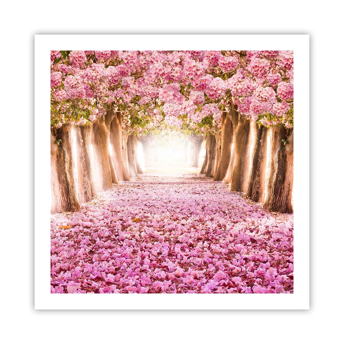 Poster - La strada verso il paradiso - 60x60 cm