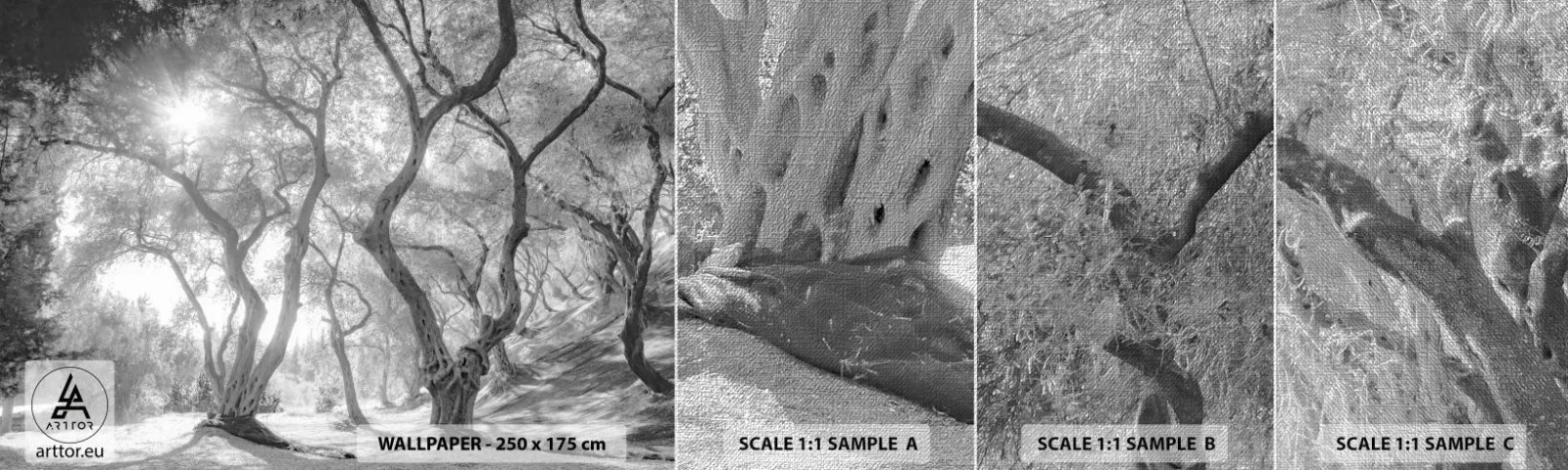 Campione di Fotomurale Premium Canvas - Nell'orto degli ulivi - foresta, Inverno, Alberi - 100x30 cm