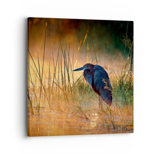 Quadro su tela - Stampe su Tela - Basta con queste foto - 40x40 cm