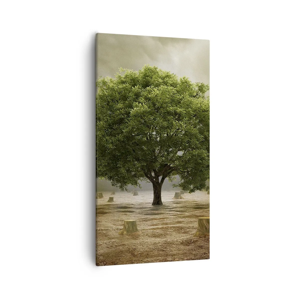 Quadro su tela - Stampe su Tela - Ogni speranza - 55x100 cm