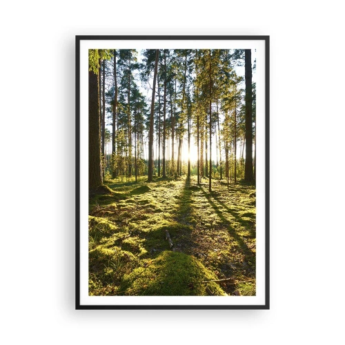Poster in cornice nera - …dopo sette foreste - 70x100 cm