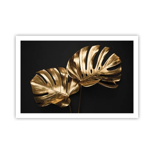 Poster - I tesori della natura - 91x61 cm