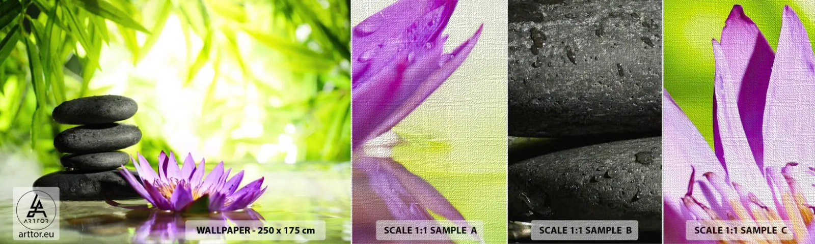 Campione di Fotomurale Premium Canvas - In un cespuglio di bambù - Fiore, fiore di loto, Bambù - 100x30 cm