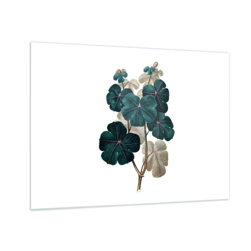 Quadro su vetro - Illustrazione botanica di foglie verdi su sfondo bianco - 70x50cm - Dal vecchio erbario - Decorazione murale moderna per soggiorno e camera da letto ARTTOR