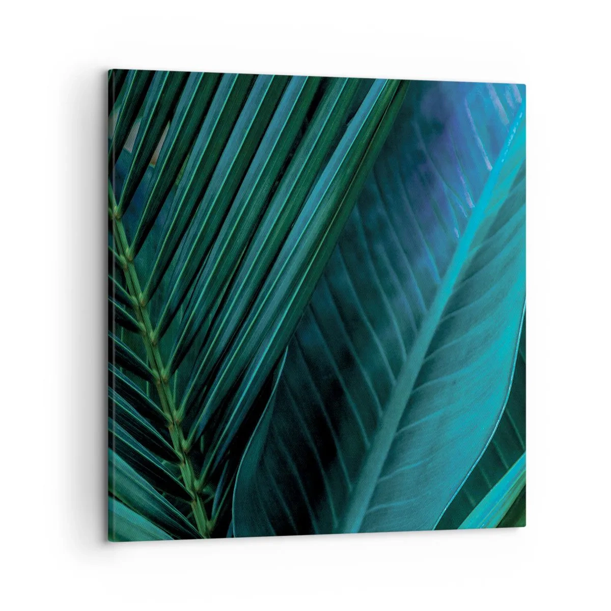 Quadro su tela - Stampe su Tela - Anatomia del verde - 50x50 cm