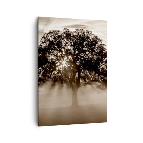 Quadro su tela - Stampe su Tela - Raggi di sole che brillano attraverso un albero solitario - 50x70cm - L'albero delle sole buone notizie - Decorazione murale moderna per soggiorno e camera da letto ARTTOR