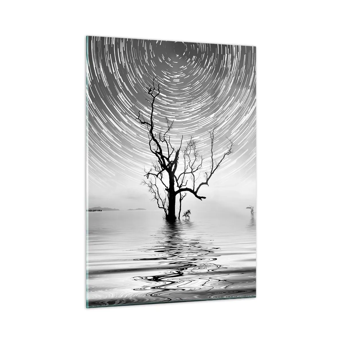 Quadro su vetro - Paesaggio in bianco e nero con un albero e strisce di stelle - 50x70cm - Sinfonia della natura - Decorazione murale moderna per soggiorno e camera da letto ARTTOR