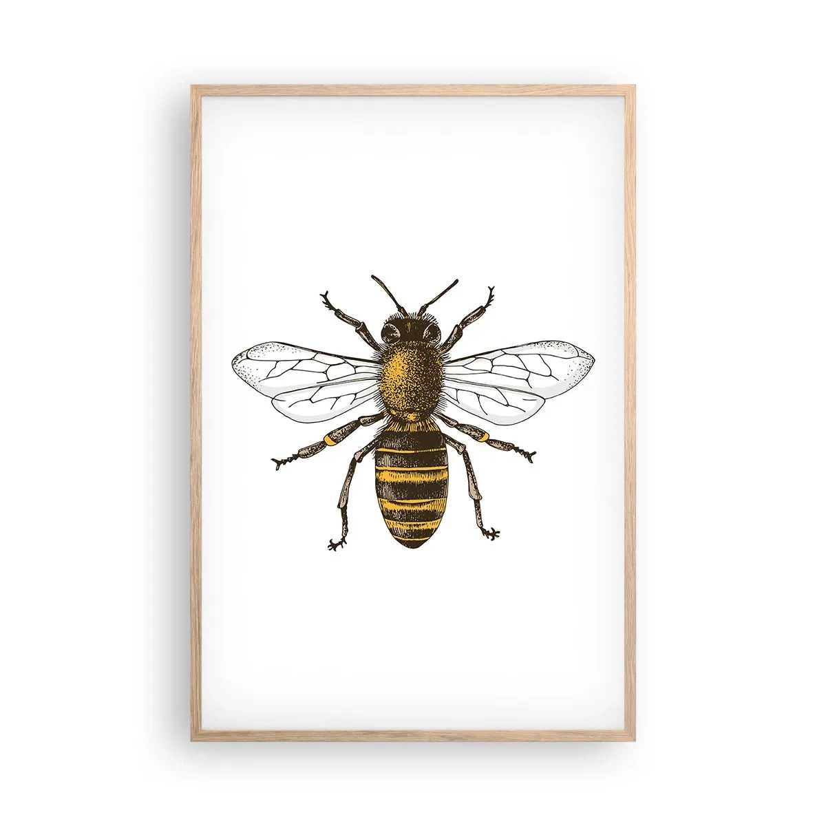 Poster in cornice rovere chiaro - Bella e buona - 61x91 cm