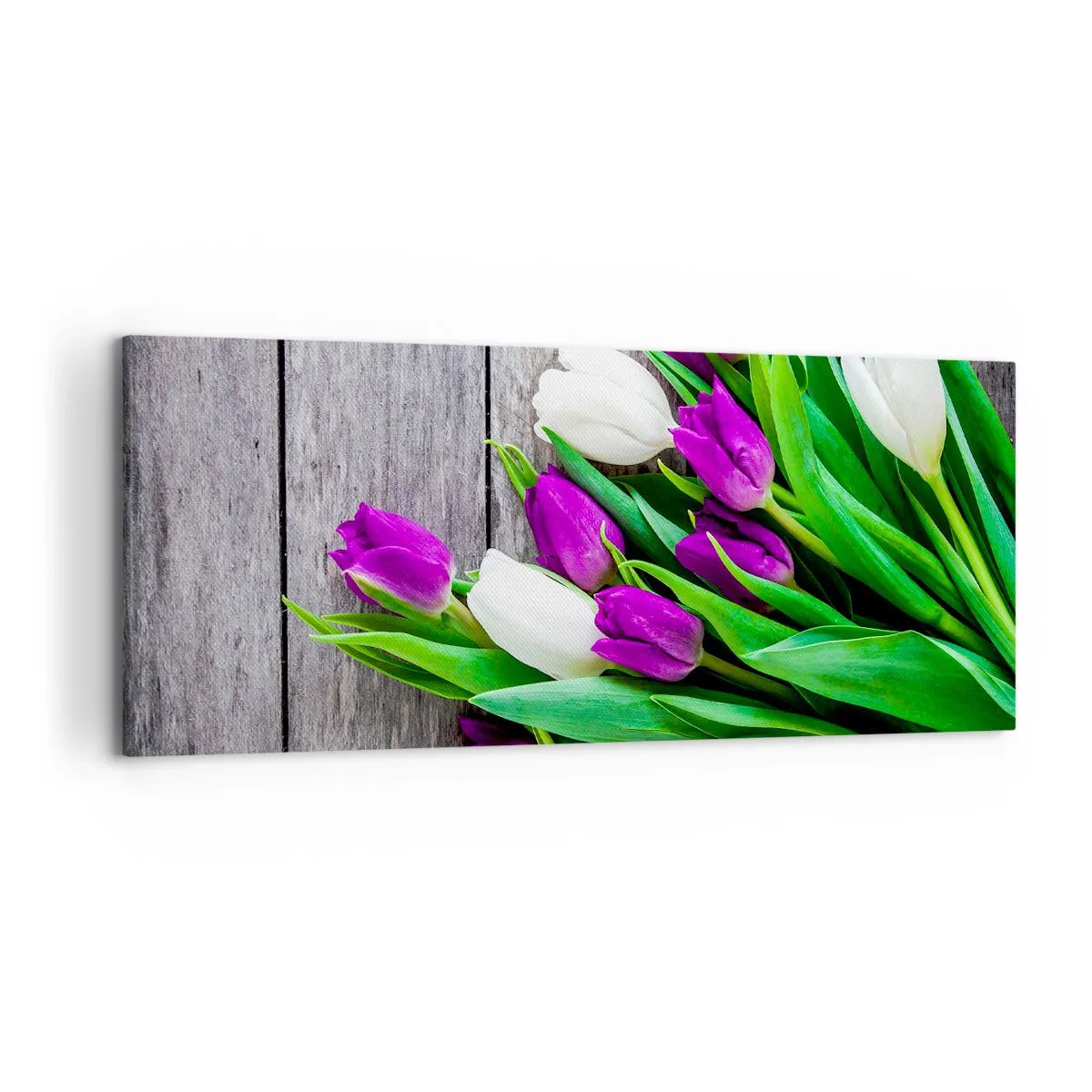 Quadro su tela - Stampe su Tela - Un bouquet di tulipani viola e bianchi su uno sfondo di legno - 120x50cm - Nella festa della primavera - Decorazione murale moderna per soggiorno e camera da letto ARTTOR