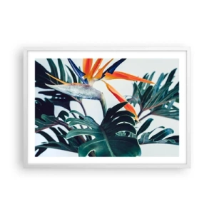 Poster in cornice bianca - Pianta uccello - 70x50 cm