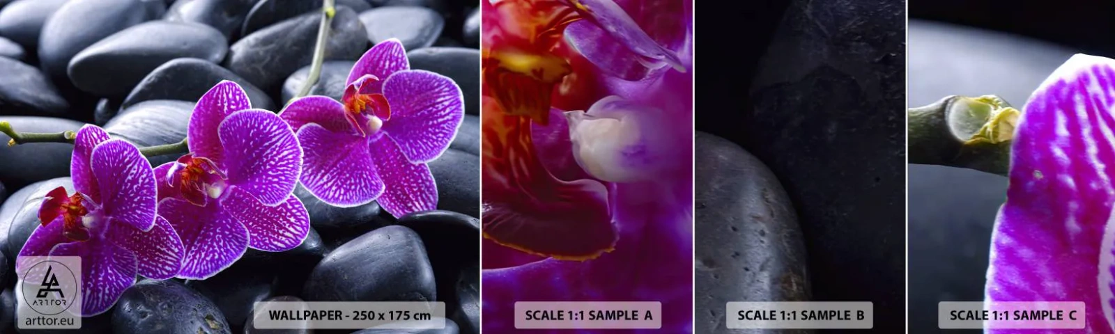 Campione Di Fotomurale Standard Eco - Le pietre brillano di ammirazione - Fiori, Pietre, Orchidea - 100x30 cm