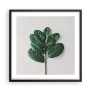 Poster in cornice nera - Il disegno della natura stessa - 50x50 cm