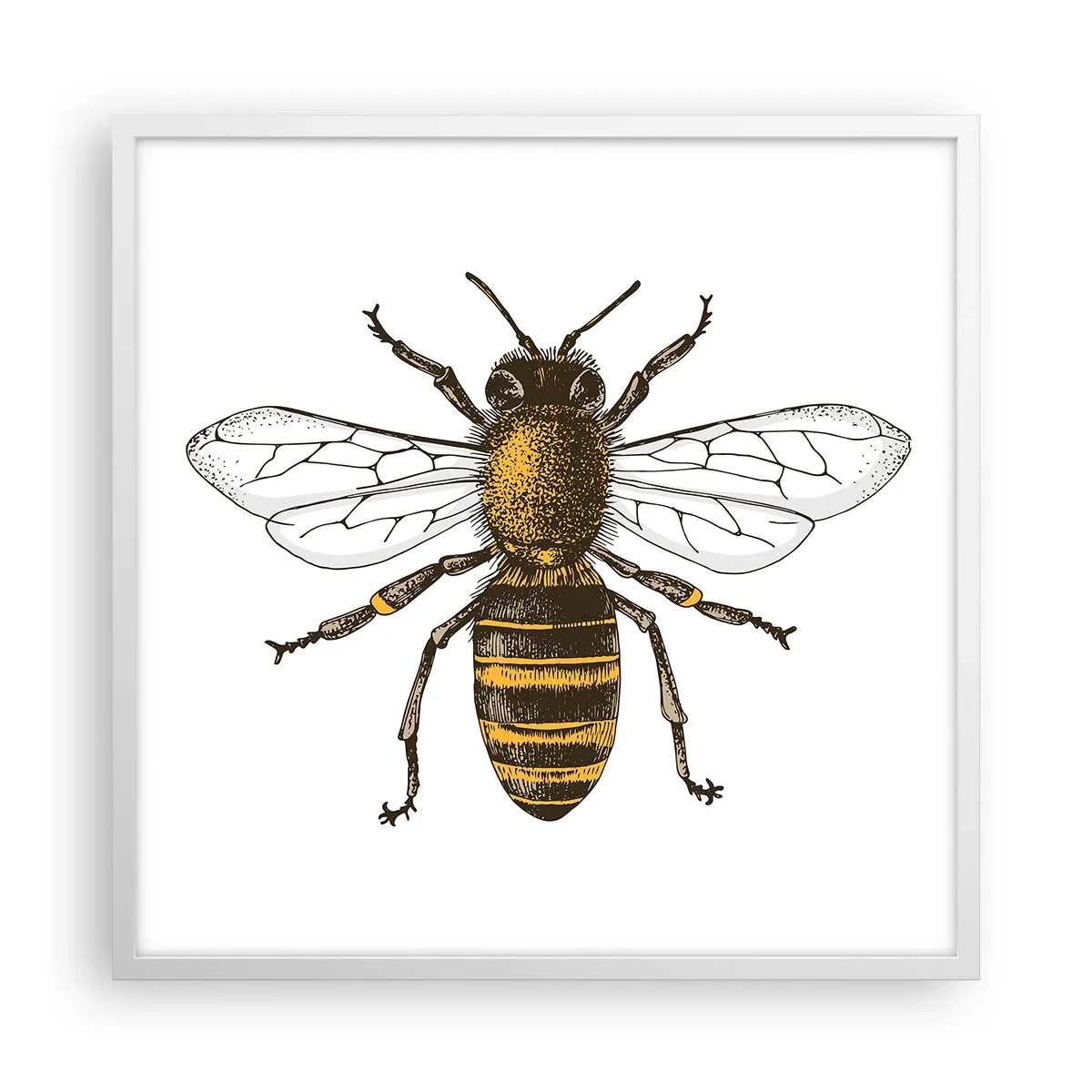 Poster in cornice bianca - Bella e buona - 60x60 cm