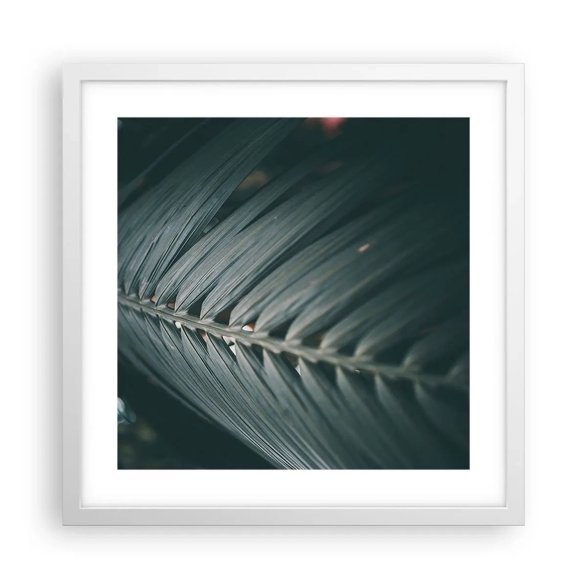 Poster in cornice bianca - La precisione della natura - 40x40 cm