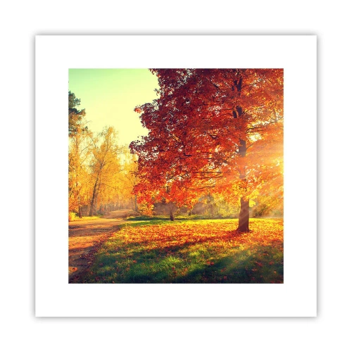 Poster - Rosso è bello - 30x30 cm