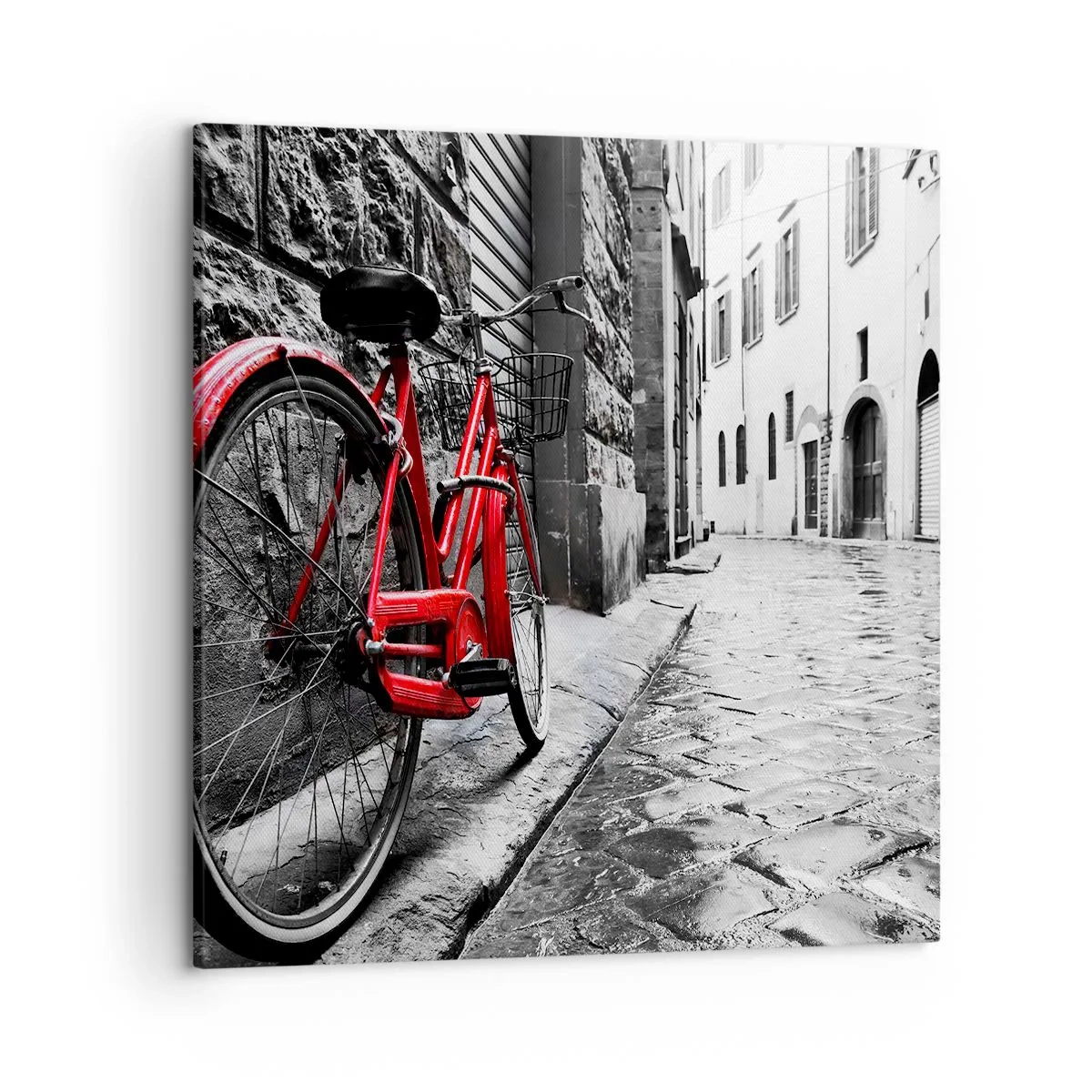 Quadro su tela - Stampe su Tela - La vera bellezza non invecchia - 50x50 cm