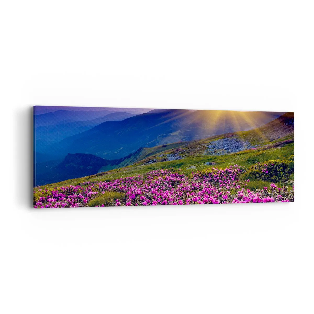 Quadro su tela - Stampe su Tela - Odore di mugo e profumo di erbe - 90x30 cm