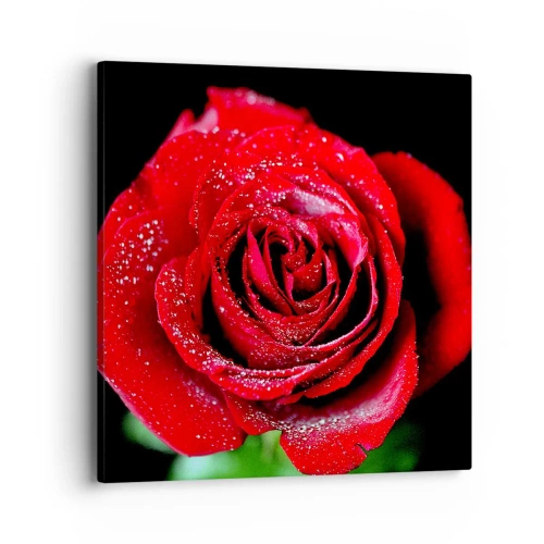 Quadro su tela - Stampe su Tela - Ecco l'amore - 40x40 cm
