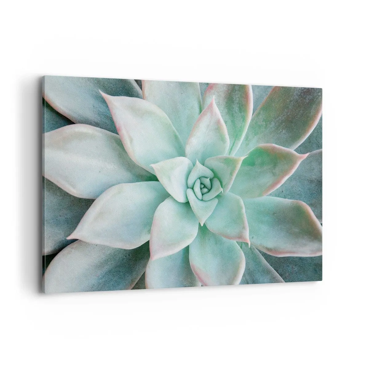 Quadro su tela - Stampe su Tela - Primo piano di una succulenta verde - 100x70cm - Il cuore del deserto - Decorazione murale moderna per soggiorno e camera da letto ARTTOR