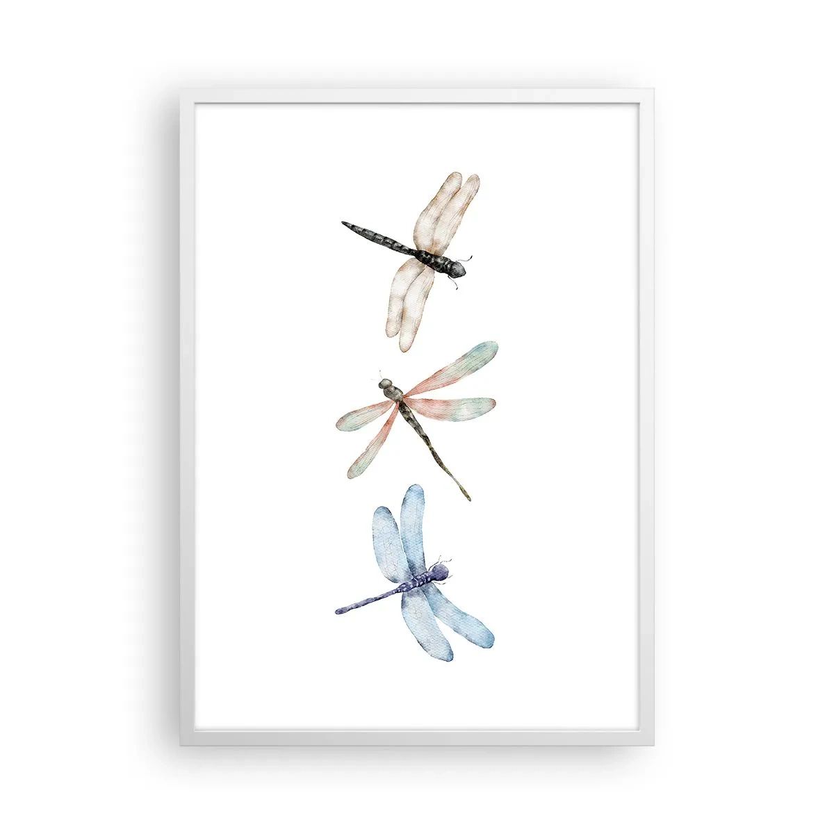 Poster in cornice bianca - Libellule senza peso - 50x70 cm