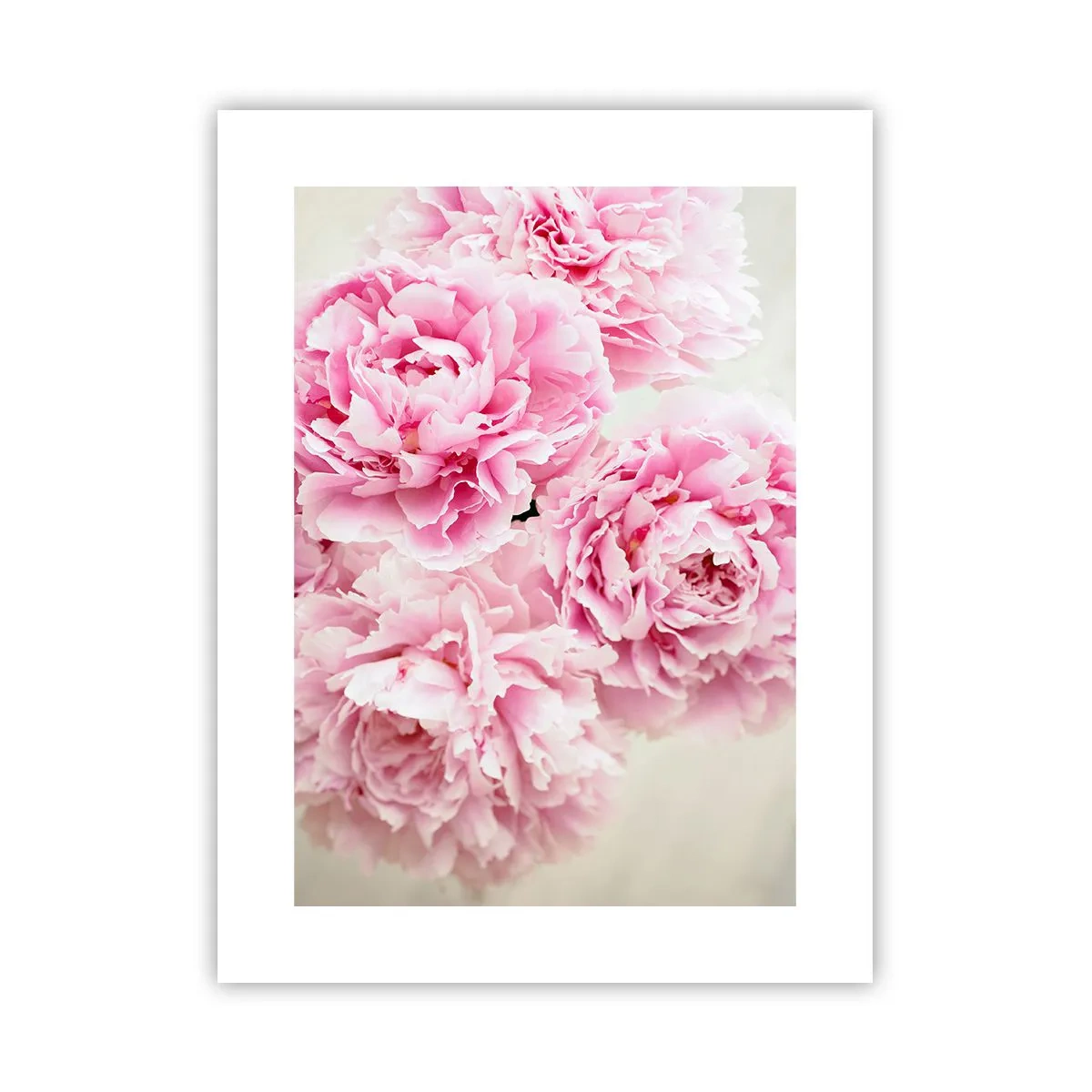 Poster - Nel fasto rosa - 30x40 cm