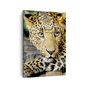 Quadro su tela - Stampe su Tela - Ritratto di un leopardo nel suo ambiente naturale - 50x70cm - Non temere, avvicinati - Decorazione murale moderna per soggiorno e camera da letto ARTTOR