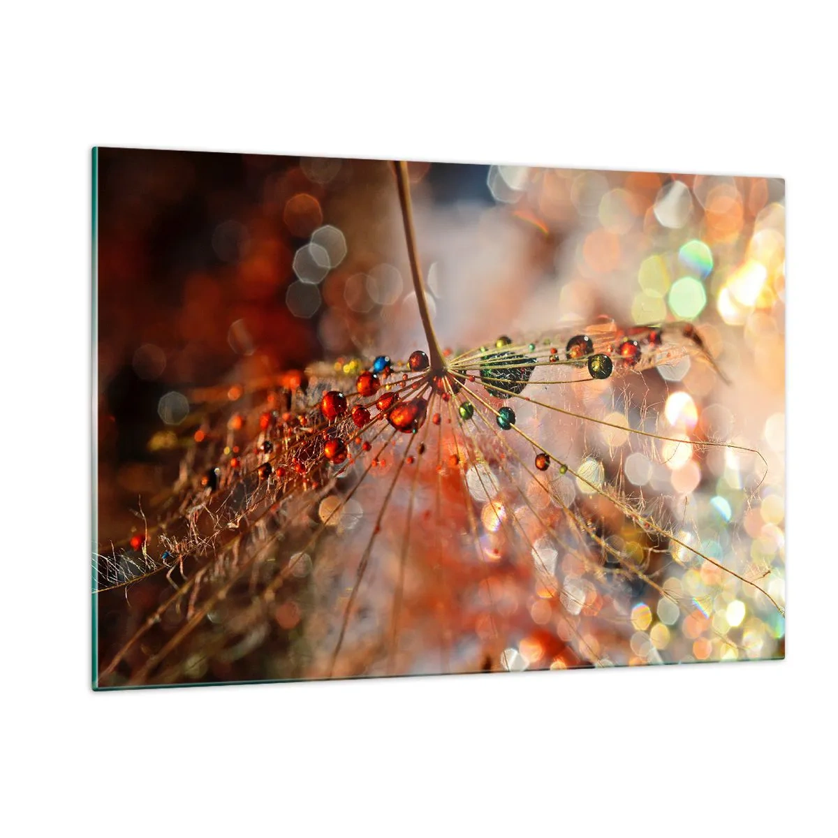 Quadro su vetro - Gocce d'acqua su una delicata ragnatela in luce bokeh - 120x80cm - Posate sulla ragnatela - Decorazione murale moderna per soggiorno e camera da letto ARTTOR