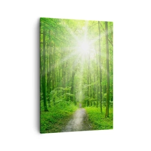 Quadro su tela - Stampe su Tela - Sentiero nel bosco con raggi di sole - 50x70cm - Cattedrale verde - Decorazione murale moderna per soggiorno e camera da letto ARTTOR