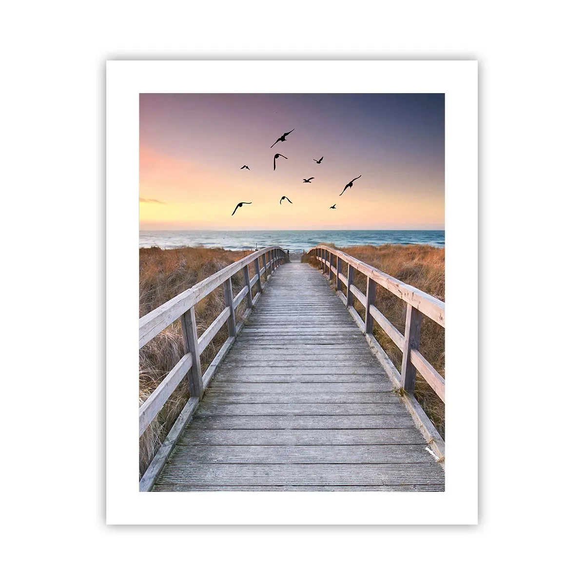 Poster - Spazio per volare - 40x50 cm