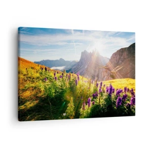 Quadro su tela - Stampe su Tela - Paesaggio montano con fiori alla luce del sole nascente - 70x50cm - La vita segreta delle erbe - Decorazione murale moderna per soggiorno e camera da letto ARTTOR