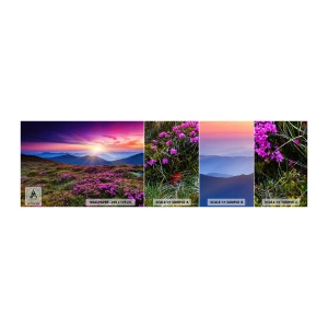 Campione Di Fotomurale Standard Eco - Il profumo dei fiori freschi del campo - Paesaggio, Montagne, Fiori - 100x30 cm