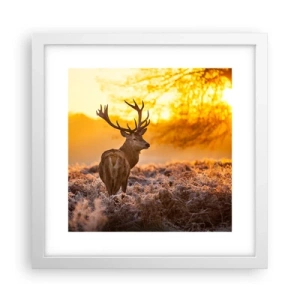Poster in cornice bianca - Il re del bosco estivo - 30x30 cm