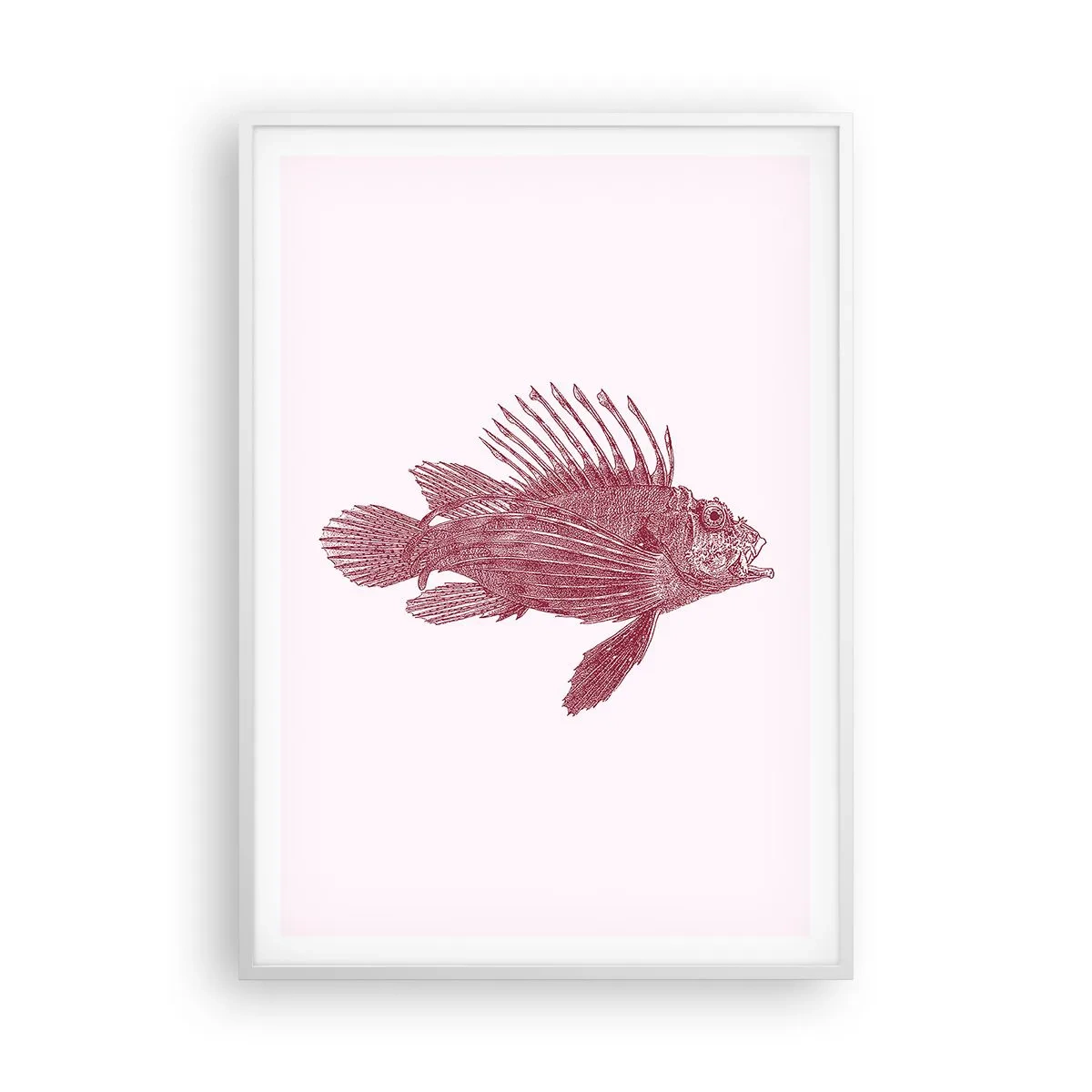 Poster in cornice bianca - Abitante di mari esotici - 70x100 cm