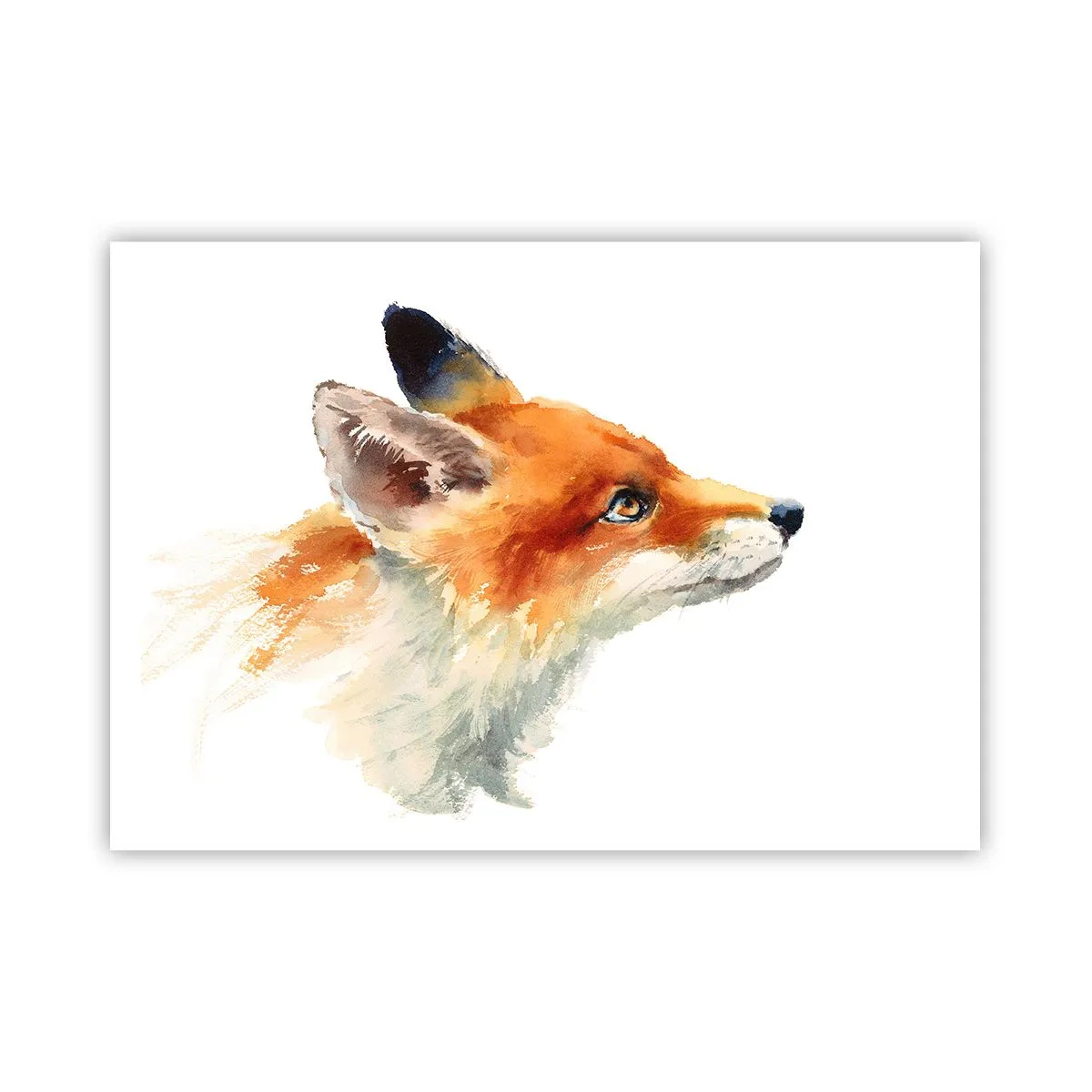 Poster - Volpe rossa in stile acquerello su sfondo bianco - 100x70cm - La prudenza non è mai troppa - Decorazione murale moderna per soggiorno e camera da letto ARTTOR
