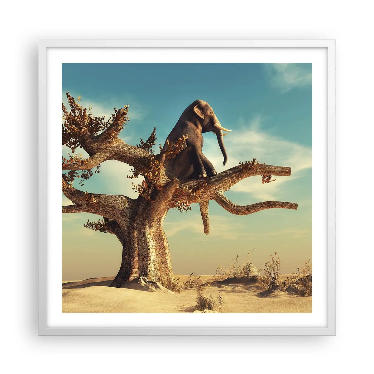 Poster in cornice bianca - Nuovo punto di vista - 60x60 cm